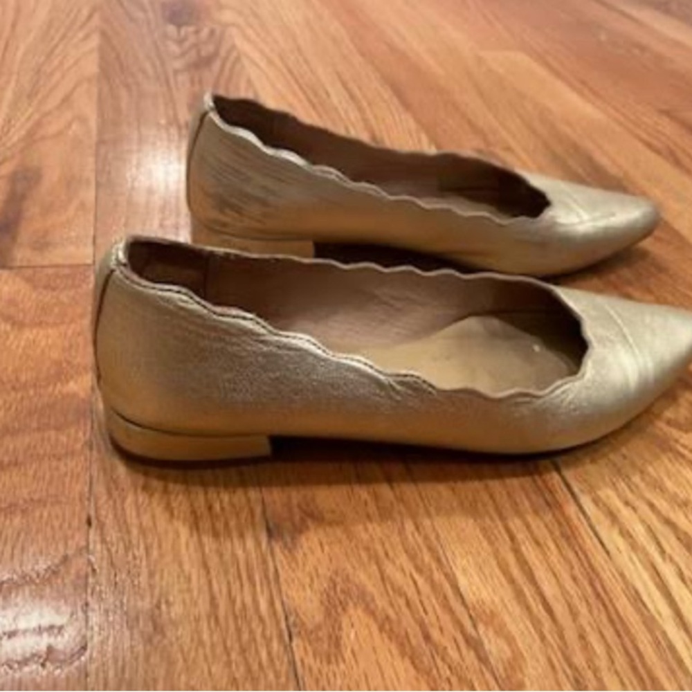 Dressy classic buckle shoes